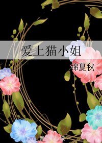 爱上猫小姐